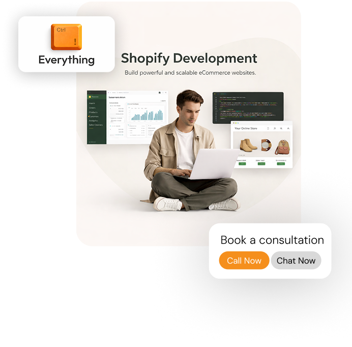 Shopify Development Hero